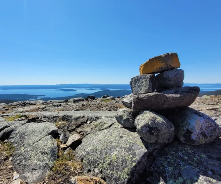 Vue panoramique sur des sommets enneigés et des forêts de conifères sous une lumière douce